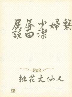 屈辱少妇系列小说白洁封面