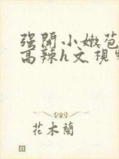 强开小嫩苞h文高辣h文视频