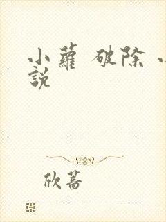 小萝 破除 小说