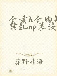 全黄h全肉短篇禁乱np慕浅浅