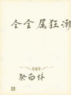 全金属狂潮小说