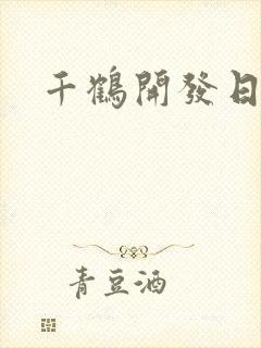 千鹤开发日记封面