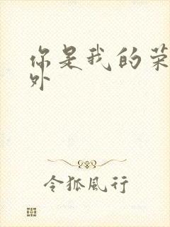 你是我的荣耀番外封面