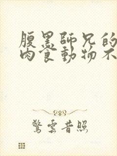 腹黑师兄的日常肉食动物不食草封面