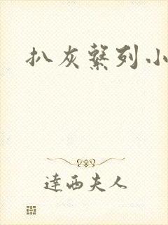 扒灰系列小说封面