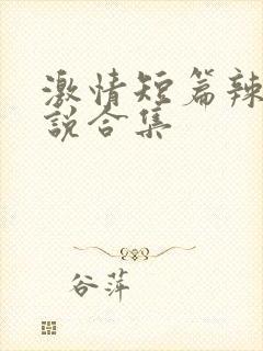 激情短篇辣文小说合集