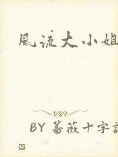 风流大小姐封面