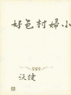 好色村妇小银贼封面