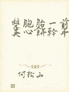 双胞胎一前一后夹心饼干年下