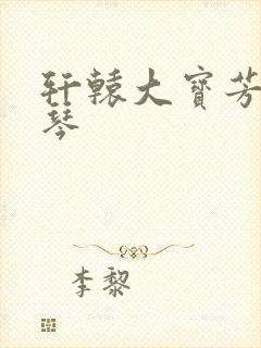 轩辕大宝芳菲雅琴