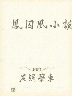凤囚凰小说