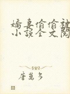 娇妻偷偷被人骑小说全文阅读