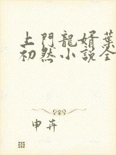 上门龙婿叶辰萧初然小说全集封面
