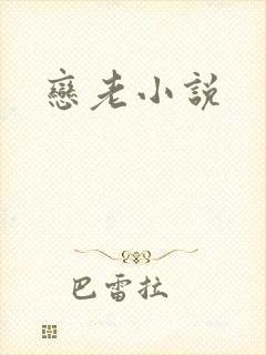 恋老小说