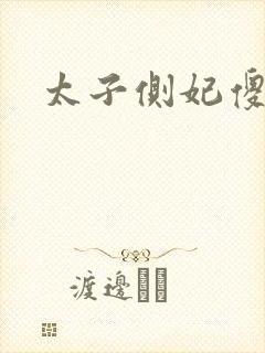 太子侧妃傻乎乎