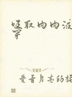 吸取肉肉液液快穿