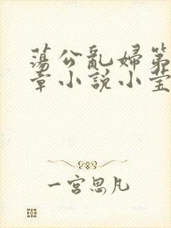 荡公乱妇第51章小说小莹