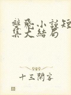 双飞小说短篇合集大结局