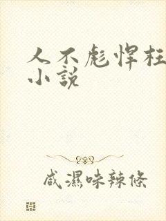 人不彪悍枉少年小说