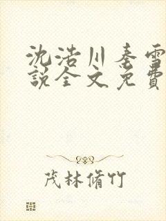 沈浩川秦雪菲小说全文免费笔趣阁封面