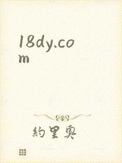 18dy.com