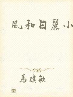 风和日丽小说