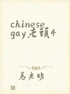 chinesegay老头4
