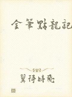 金笔点龙记封面