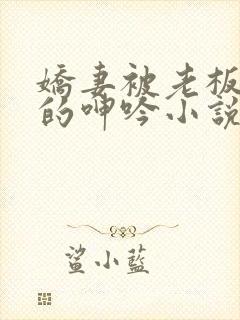 娇妻被老板蹂躏的呻吟小说