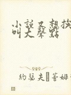 小说又想挨C了叫大声点