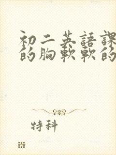 初二英语课代表的胸软软的