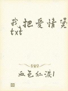 我把爱情煲成汤txt