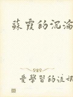 苏霞的沉沦封面