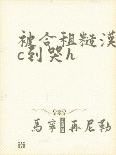 被合租糙汉室友c到哭h封面