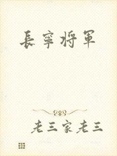 长宁将军封面