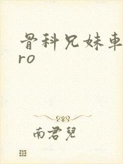 骨科兄妹车多pro