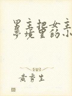 男主把女主拖进梦境里的小说