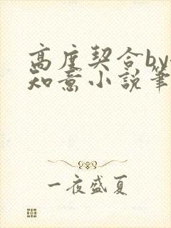 高度契合by洛知意小说笔趣阁无弹窗封面