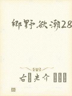 乡野欲潮28章