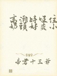 高潮时吸住我的奶头好爽小说