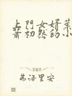 上门女婿叶辰和萧初然的小说最新章节