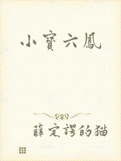 小宝六凤
