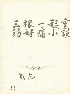 三根一起会坏掉的好痛小说封面