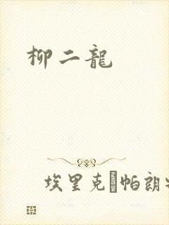 柳二龙