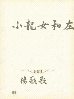 小龙女和左剑清封面
