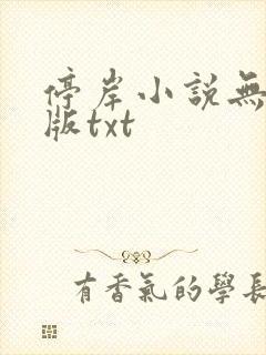 停岸小说无删减版txt