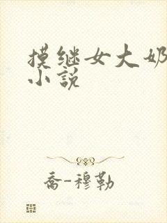 摸继女大奶子的小说封面