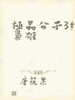 极品公子3续世枭雄