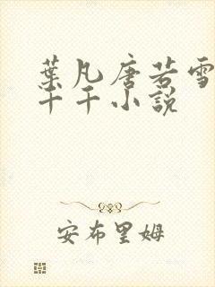 叶凡唐若雪医婿千千小说