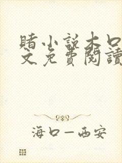 赌小说木口银全文免费阅读笔趣阁封面